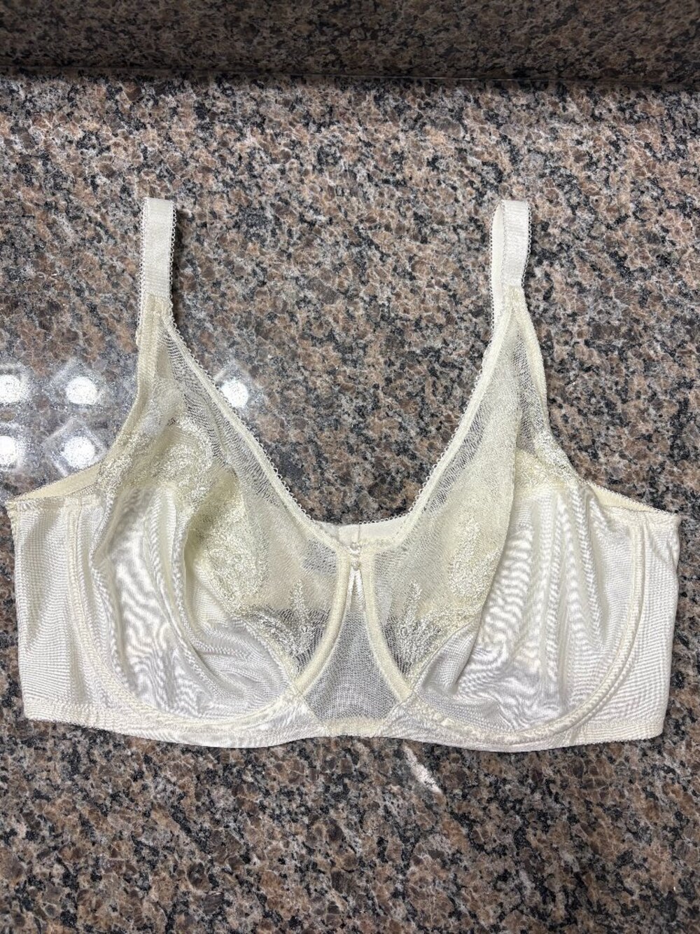 Wacoal 85121 Ivory Full Coverage Underwire Bra 40DD Sheer Mesh NWOT